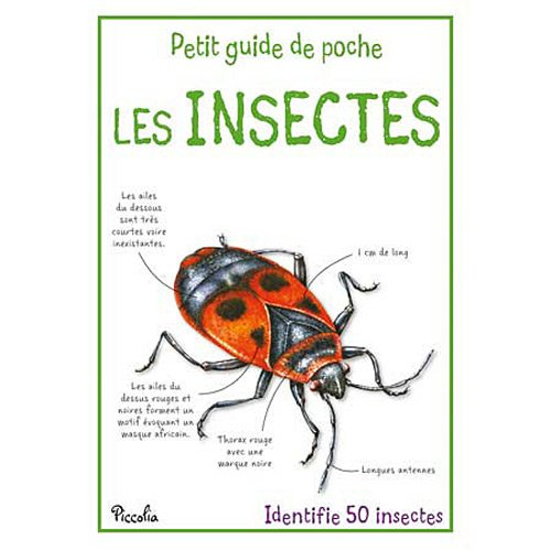 Les insectes : identifie 50 insectes