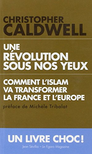 Une révolution sous nos yeux : comment l'islam va transformer la France et l'Europe