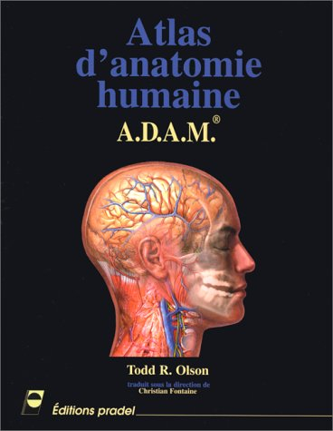 atlas d'anatomie humaine : a.d.a.m.