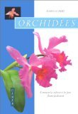 Orchidées : comment les cultiver et les faire fleurir facilement