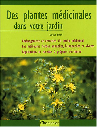 Des plantes médicinales dans votre jardin