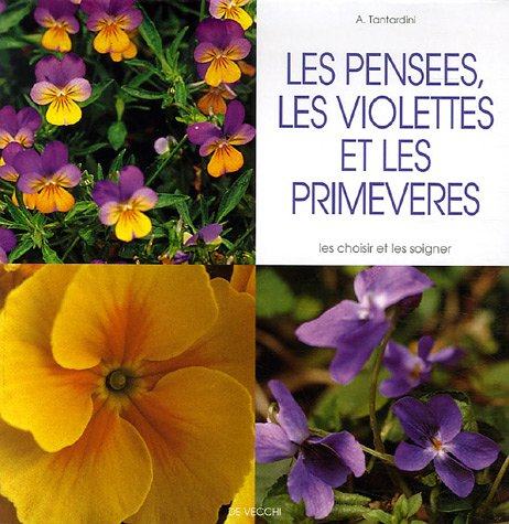 Les pensées, les violettes et les primevères : les choisir et les soigner