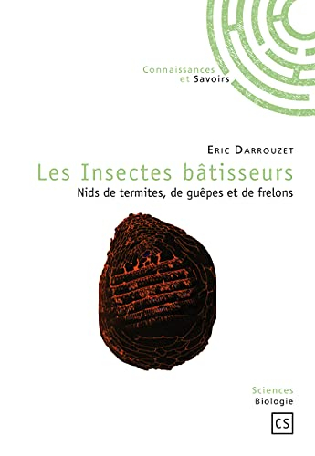 Les insectes bâtisseurs : nids de termites, de guêpes et de frelons