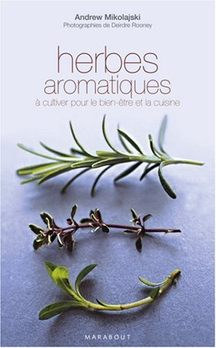 Herbes aromatiques : à cultiver pour le bien-être et la cuisine