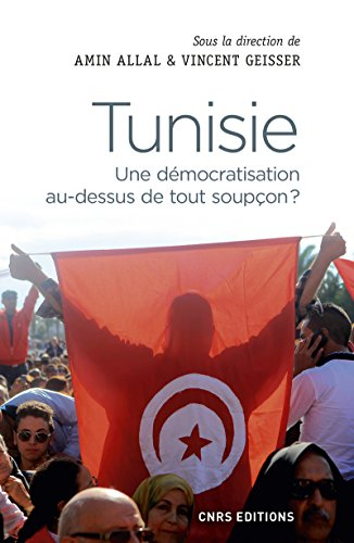 Tunisie : une démocratisation au-dessus de tout soupçon ?