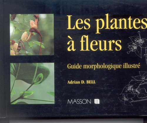 Guide morphologique des plantes à fleurs