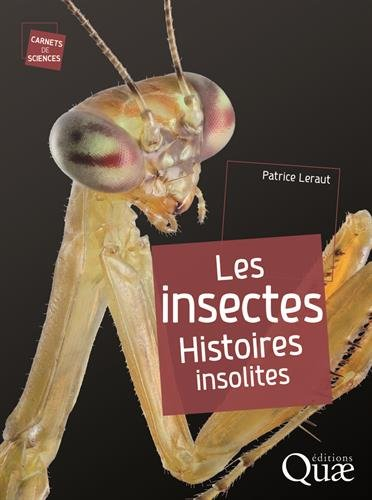 Les insectes : histoires insolites
