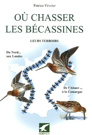 Où chasser les bécassines : leurs terroirs, du Nord aux Landes, de l'Alsace à la Camargue