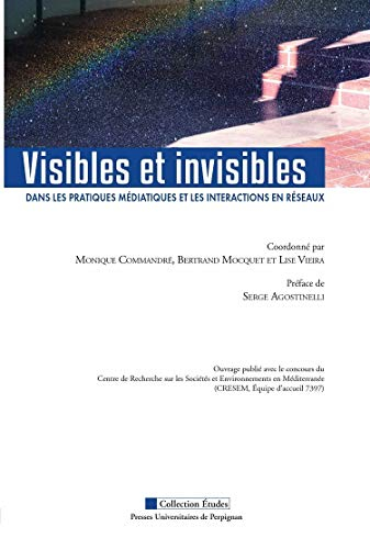 Visibles et invisibles dans les pratiques médiatiques et les interactions en réseaux