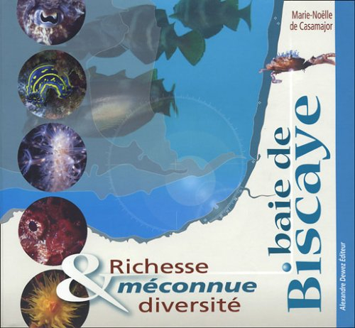 Baie de Biscaye : richesse et diversité méconnue
