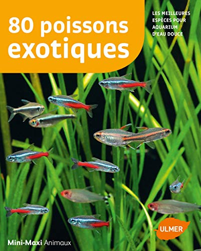 80 poissons exotiques : les meilleures espèces pour aquarium d'eau douce