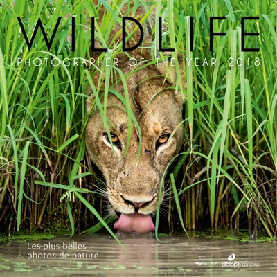 Wildlife Photographer of the year 2018 : les plus belles photos de nature