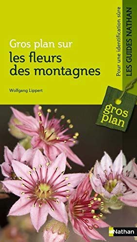 Fleurs des montagnes