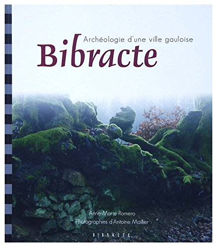 Bibracte : archéologie d'une ville gauloise