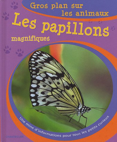 Les papillons magnifiques : une mine d'informations pour tous les petits curieux