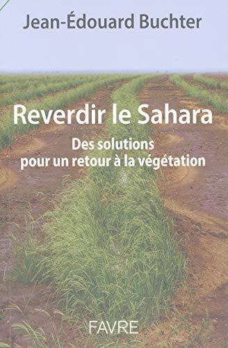 Reverdir le Sahara : des solutions pour un retour à la végétation