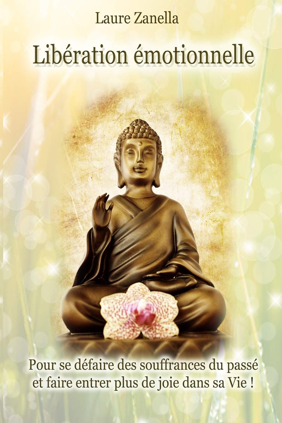 Libération émotionnelle: Pour se défaire des souffrances du passé et faire entrer plus de joie dans 