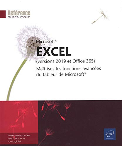 Microsoft Excel : versions 2019 et Office 365 : maîtrisez les fonctions avancées du tableur de Micro