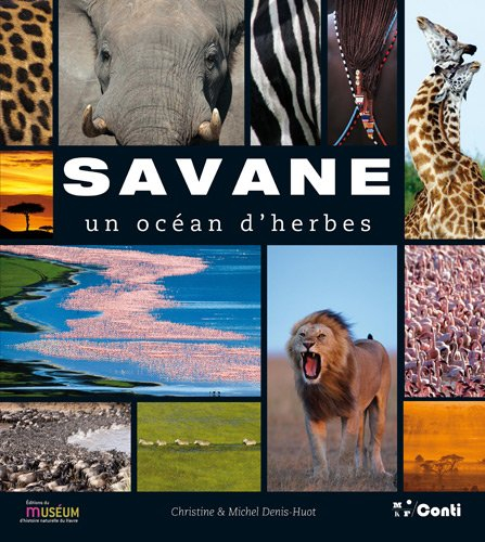 Savane : un océan d'herbes