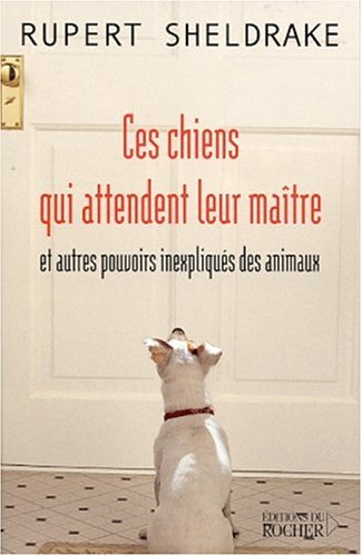 Ces chiens qui attendent leur maître et autres pouvoirs inexpliqués des animaux