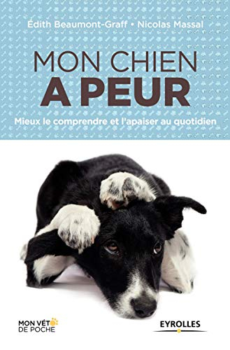 Mon chien a peur : mieux le comprendre et l'apaiser au quotidien