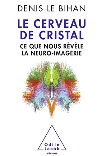 Le cerveau de cristal : ce que nous révèle la neuro-imagerie