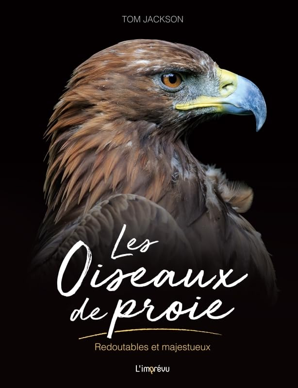 Les oiseaux de proie : redoutables et majestueux