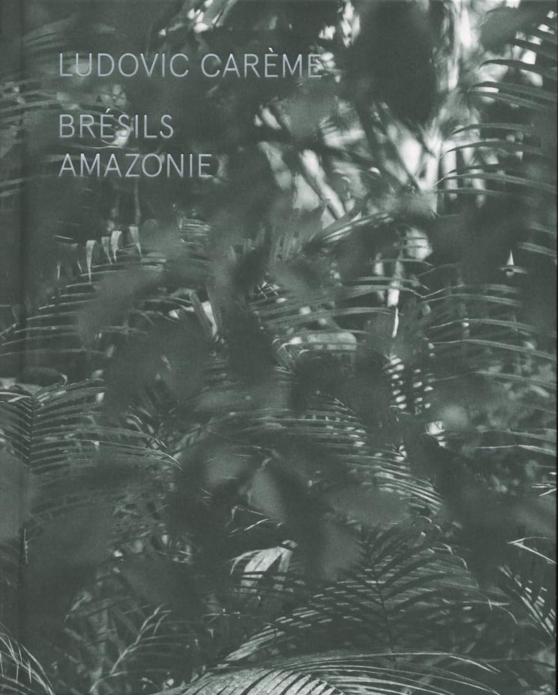 Brésils - Amazonie