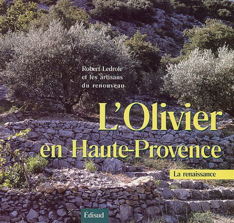 L'olivier en Haute-Provence : la renaissance