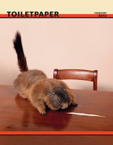 Toilet Paper n° 05
