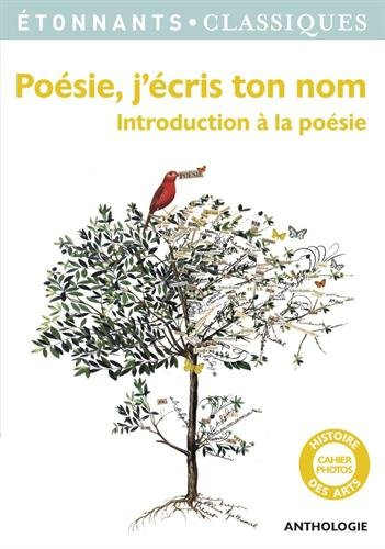Poésie, j'écris ton nom : introduction à la poésie