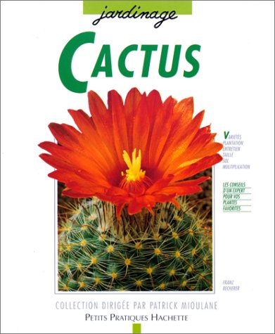 cactus : des variétés pour l'appartement, le balcon et la terrasse