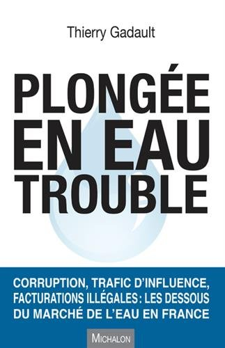 Plongée en eau trouble : corruption, trafic d'influence, facturations illégales : les dessous du mar