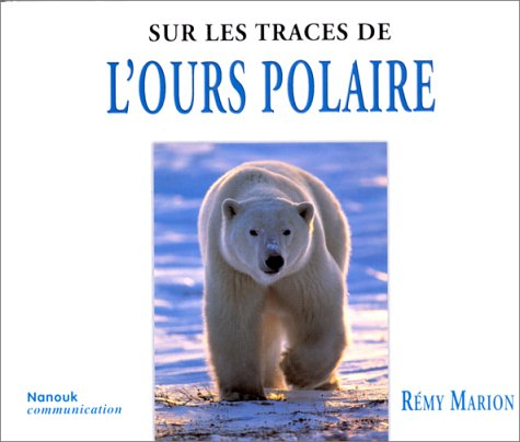 Sur les traces de l'ours polaire