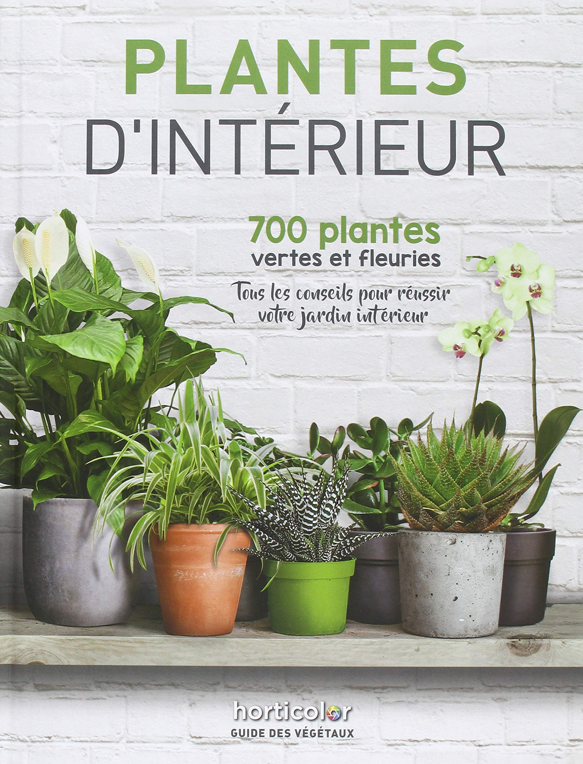 Plantes d'intérieur : 700 plantes vertes et fleuries : tous les conseils pour réussir votre jardin i
