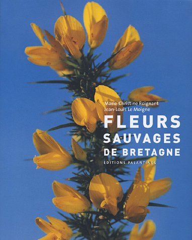 Fleurs sauvages de Bretagne