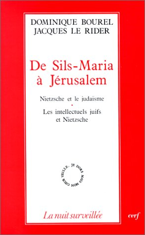 De Sils-Maria à Jérusalem : Nietzsche et le judaïsme, les intellectuels juifs et Nietzsche