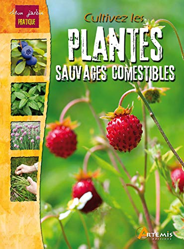 Cultivez les plantes sauvages comestibles