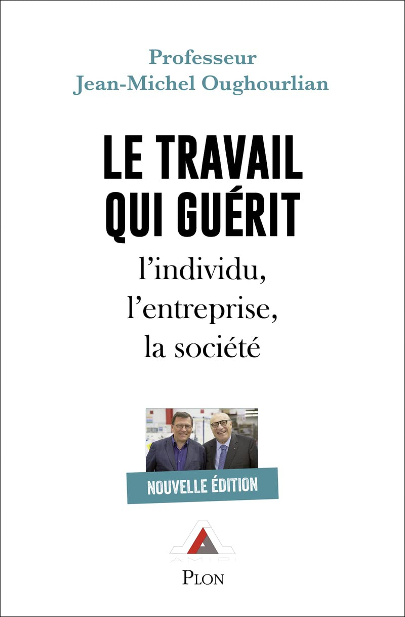 Le travail qui guérit : l'individu, l'entreprise, la société