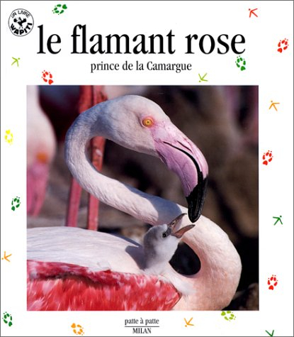 Le Flamant rose, prince de la Camargue