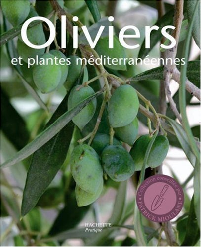 Oliviers et plantes méditerranéennes : les conseils d'un expert pour cultiver des plantes méditerran