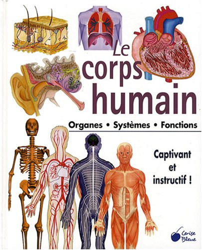Le corps humain : organes, systèmes, fonctions