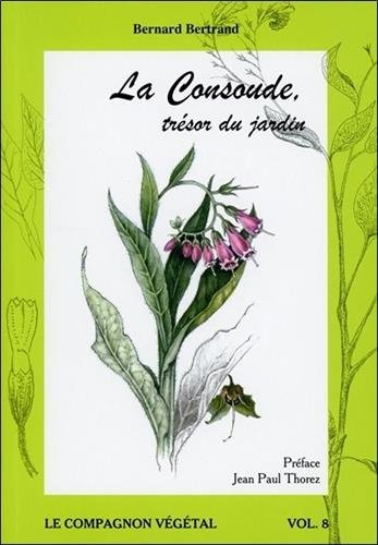 La consoude, trésor du jardin