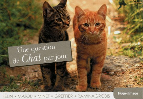 Une question de chat par jour : félin, matou, minet, greffier, raminagrobis