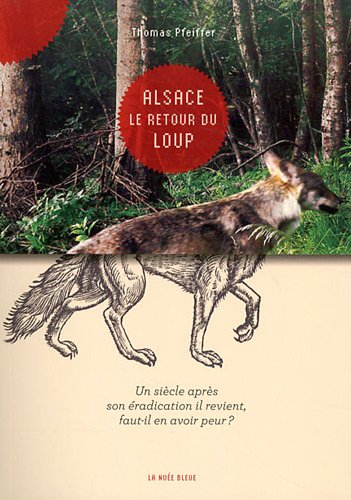 Alsace, le retour du loup : un siècle après son éradication il revient, faut-il en avoir peur ?