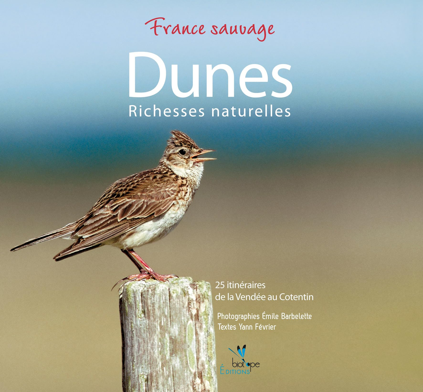 Dunes d'Armorique : de la Vendée au Cotentin, faune, flore et itinéraires