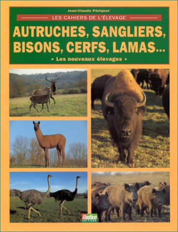 Autruches, sangliers, bisons, cerfs, lamas... : nouveaux élevages