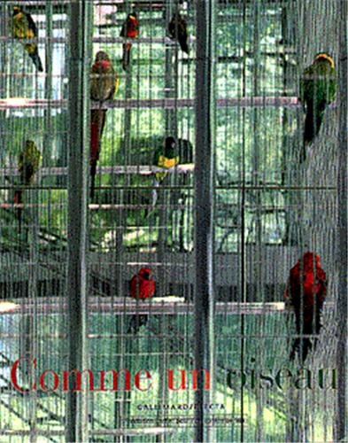 Comme un oiseau : exposition, Paris, 19 juin-13 octobre 1996, Fondation Cartier pour l'art contempor
