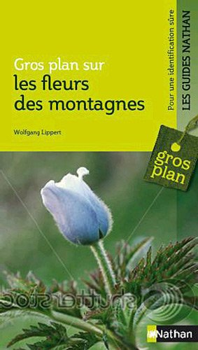 Fleurs des montagnes