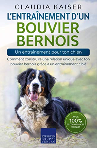 L’entraînement d’un bouvier bernois – un entraînement pour ton chien: Comment construire une relatio